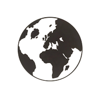 общее количество выпускников